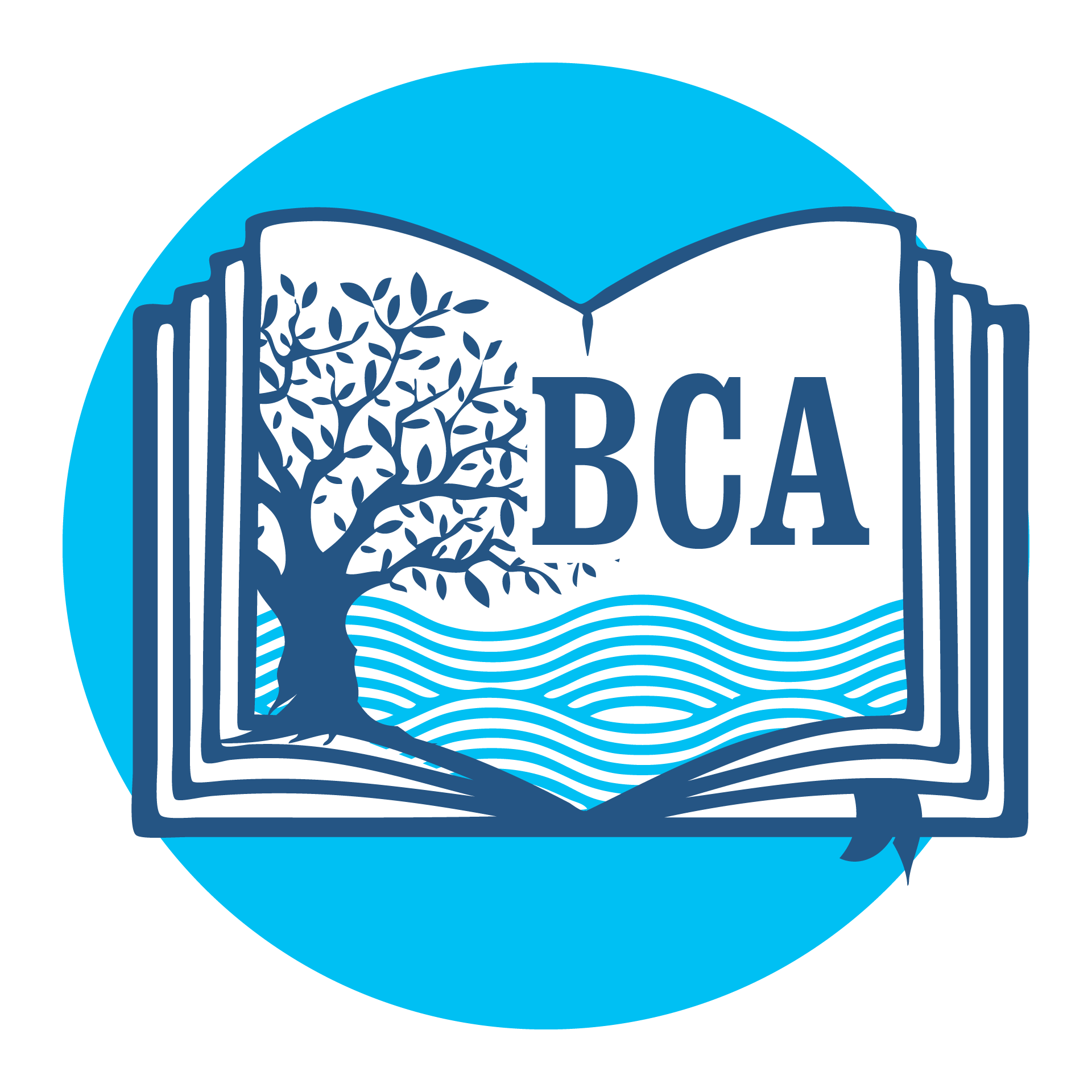 Brookside Christian Academy logo