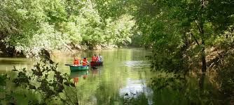 A group of people are rowing a boat down a river.