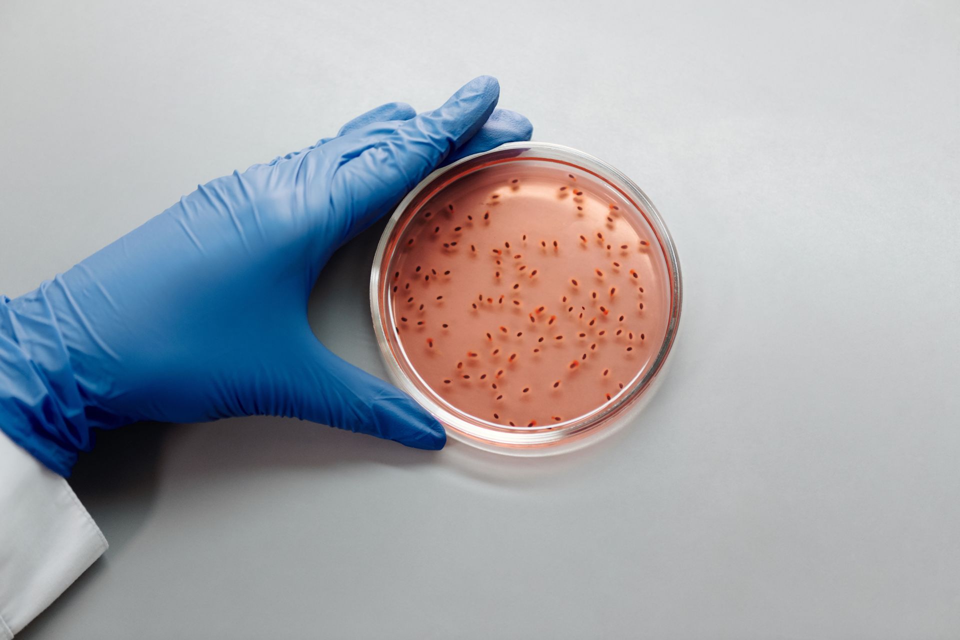Microbiología y parasitología