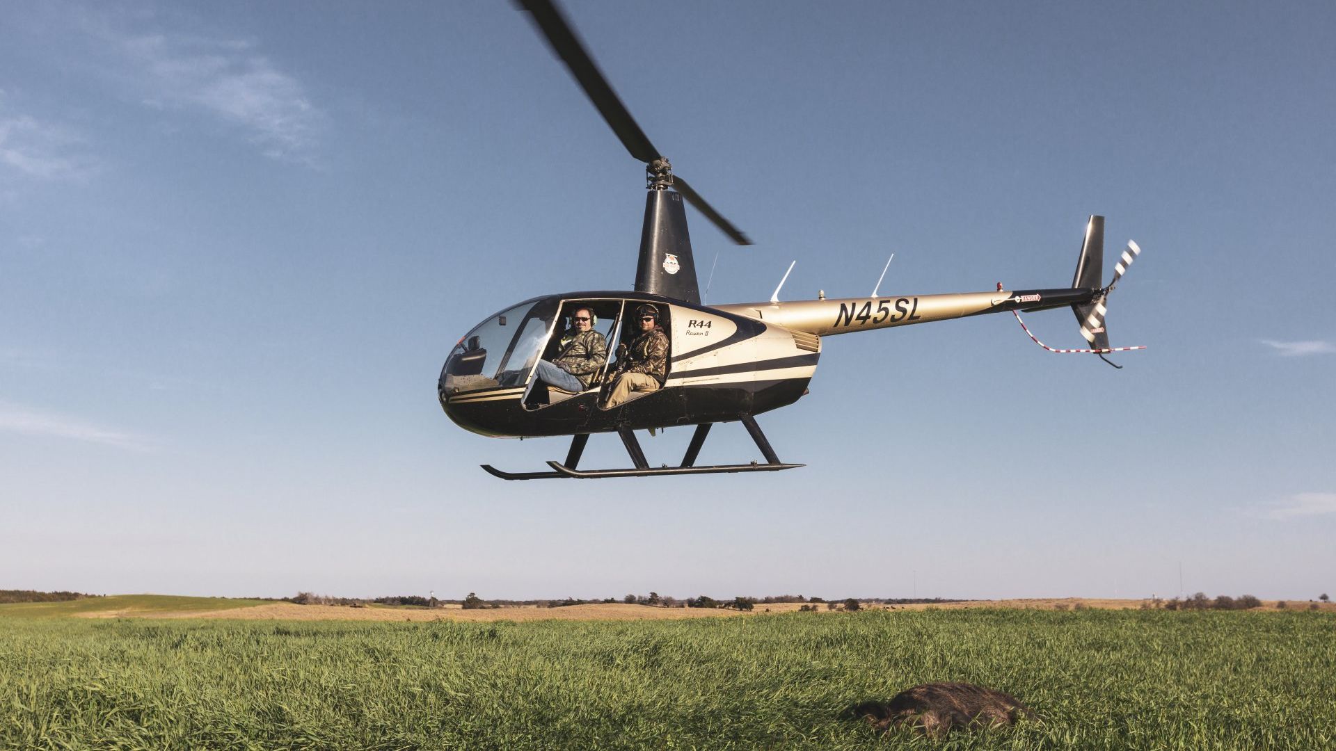 Black and cream helicopter flying low over a green field under a clear blue sky
