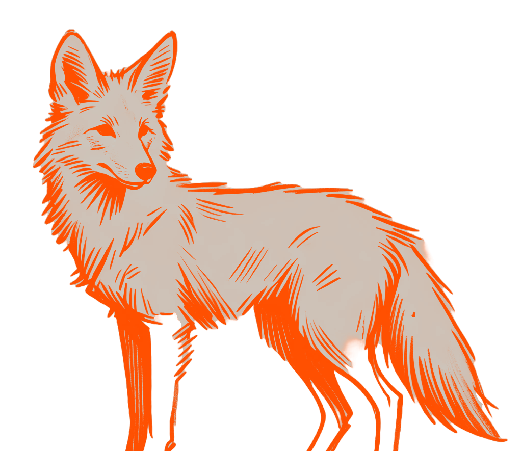 Orange line drawing of a fox standing in profile, looking left