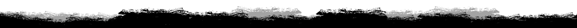 Black-and-white textured horizontal strip on a white background