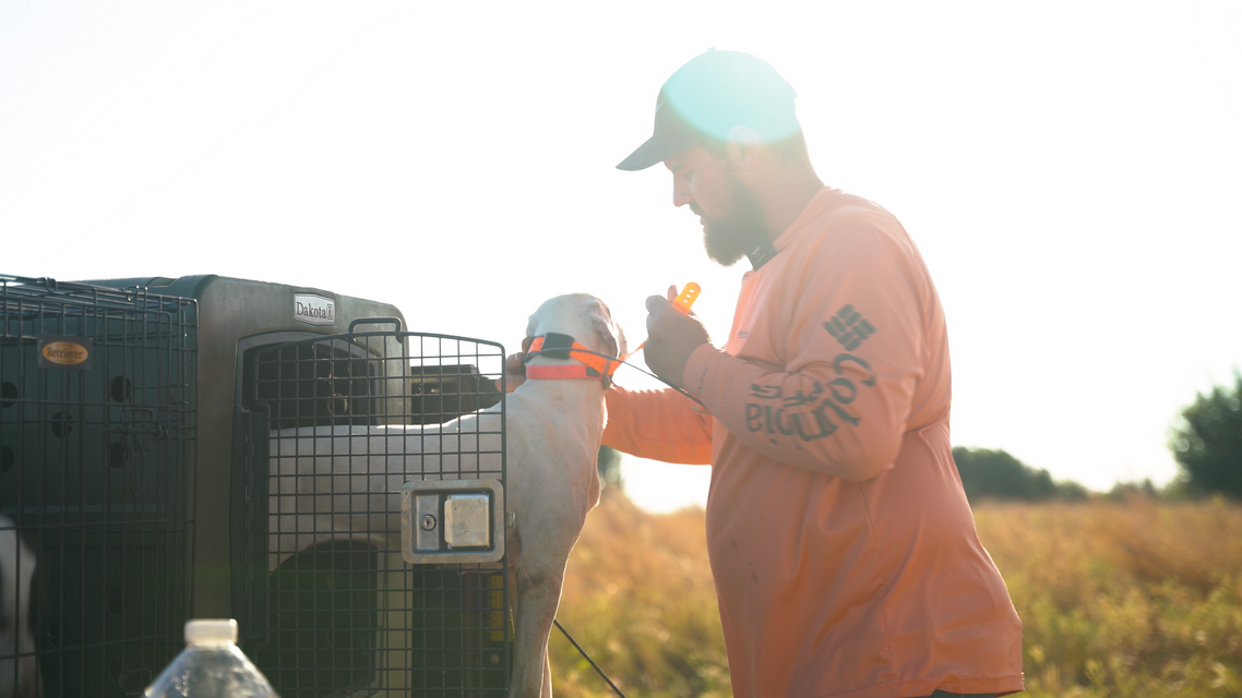 Worker in orange shirt and cap handling equipment beside a field at sunset