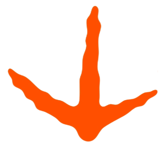 Orange bird footprint icon on a white background