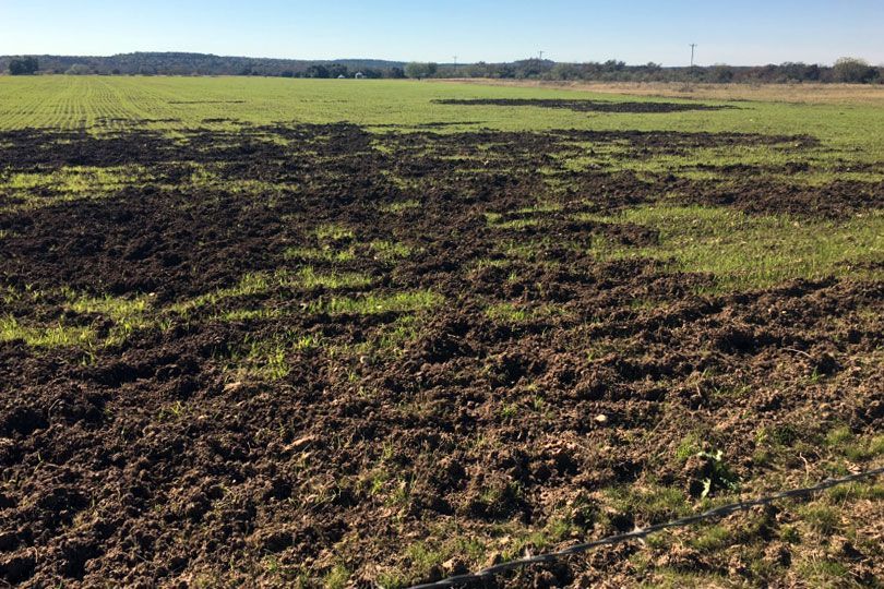 Plowed field with dark soil patches and green grass under a clear sky