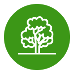 Tree Icon