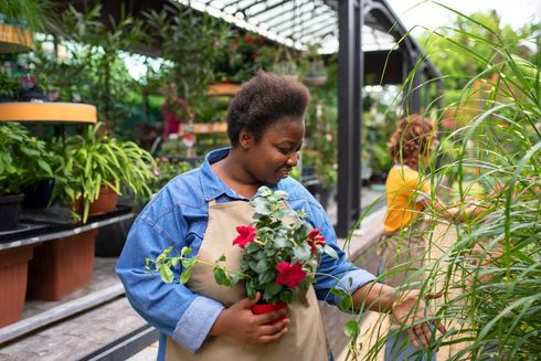 Person holding a potted plant in a greenhouse, surrounded by lush greenery and flowers.