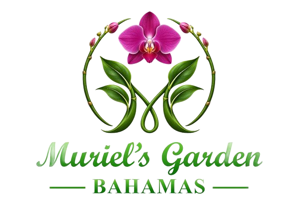 Muriel’s Garden Bahamas logo with green leaves and pink orchid on white background