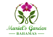 Muriel’s Garden Bahamas logo with green leaves and pink orchid on white background