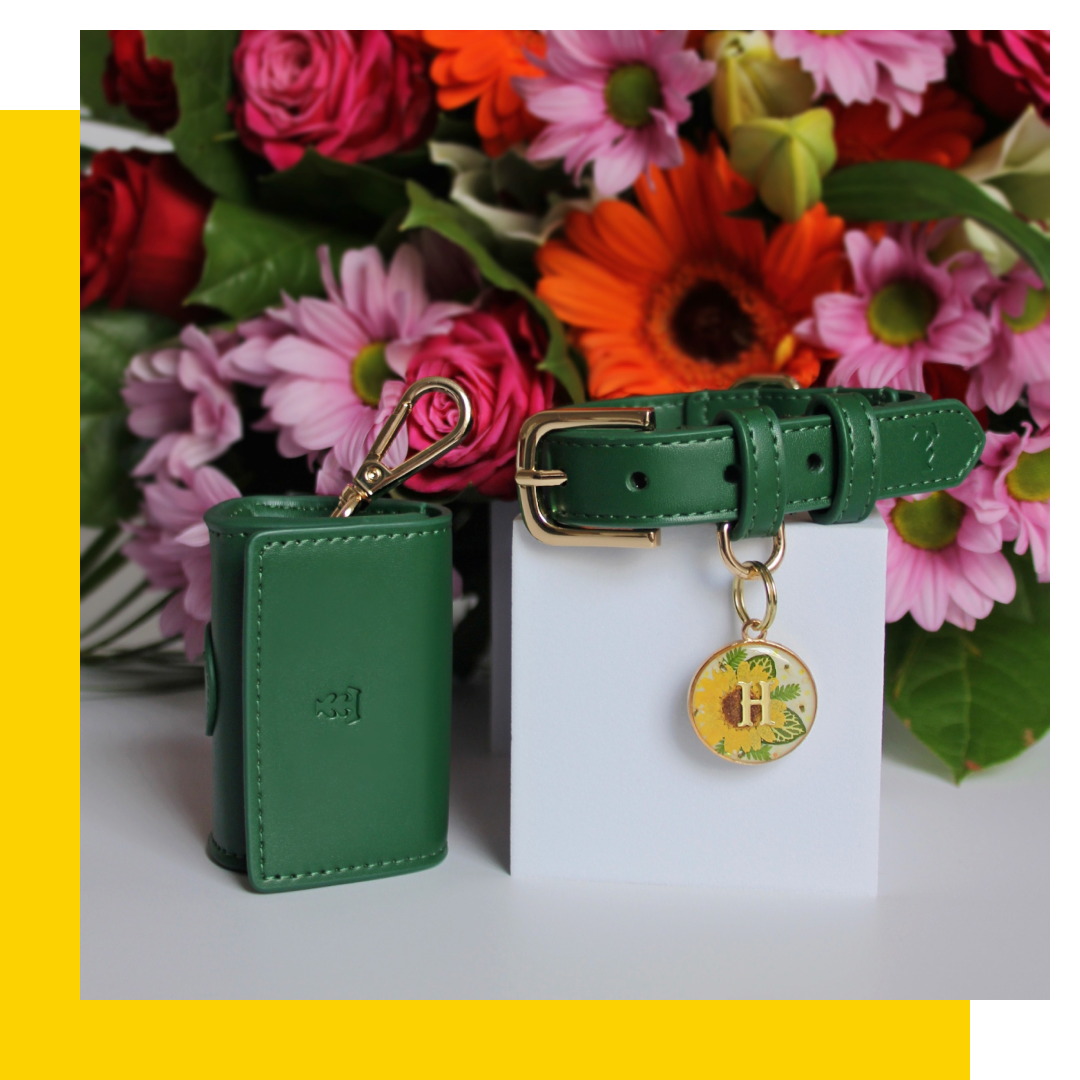 Green leather key case and dog collar with gold accents on a white block, flowers in background.