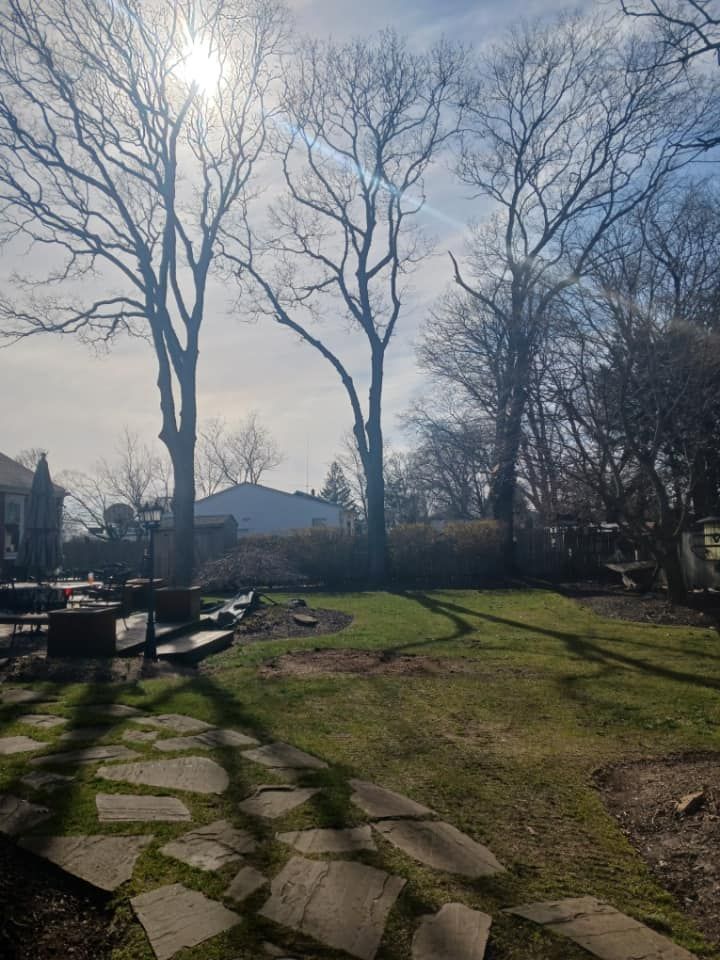 Suffolk Tree Work LI Top Rated Tree Service Suffolk County, New York