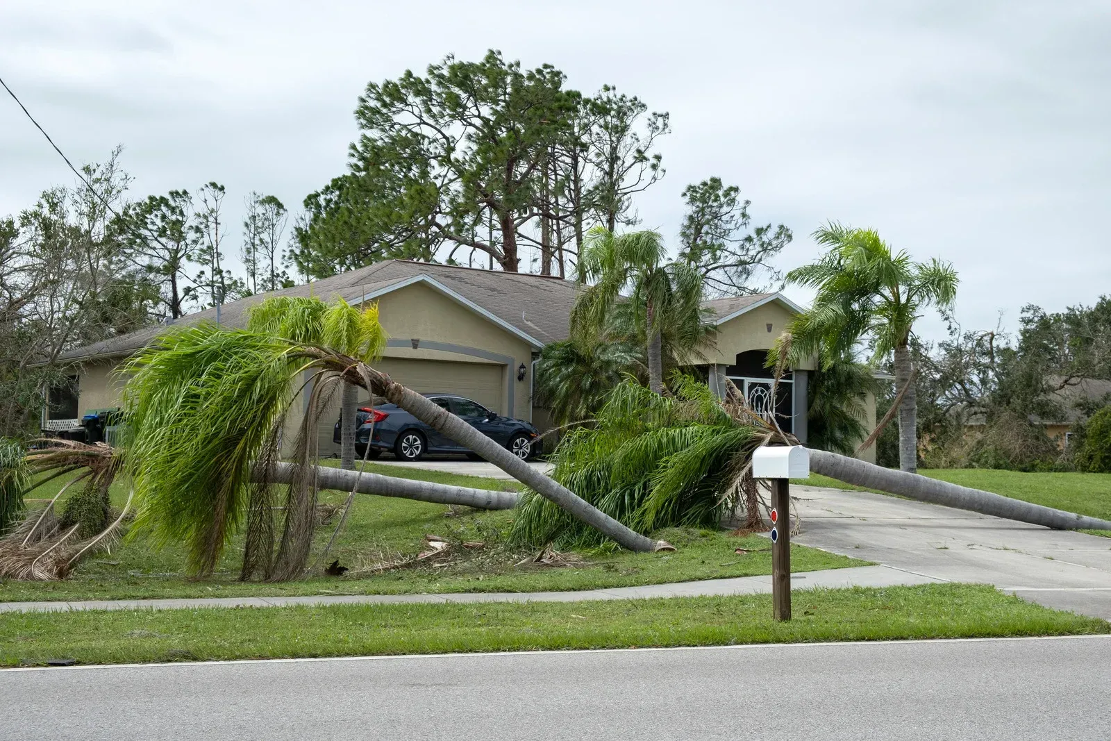 Storm-damaged mailbox and leaning fence in front of a house on a suburban street
