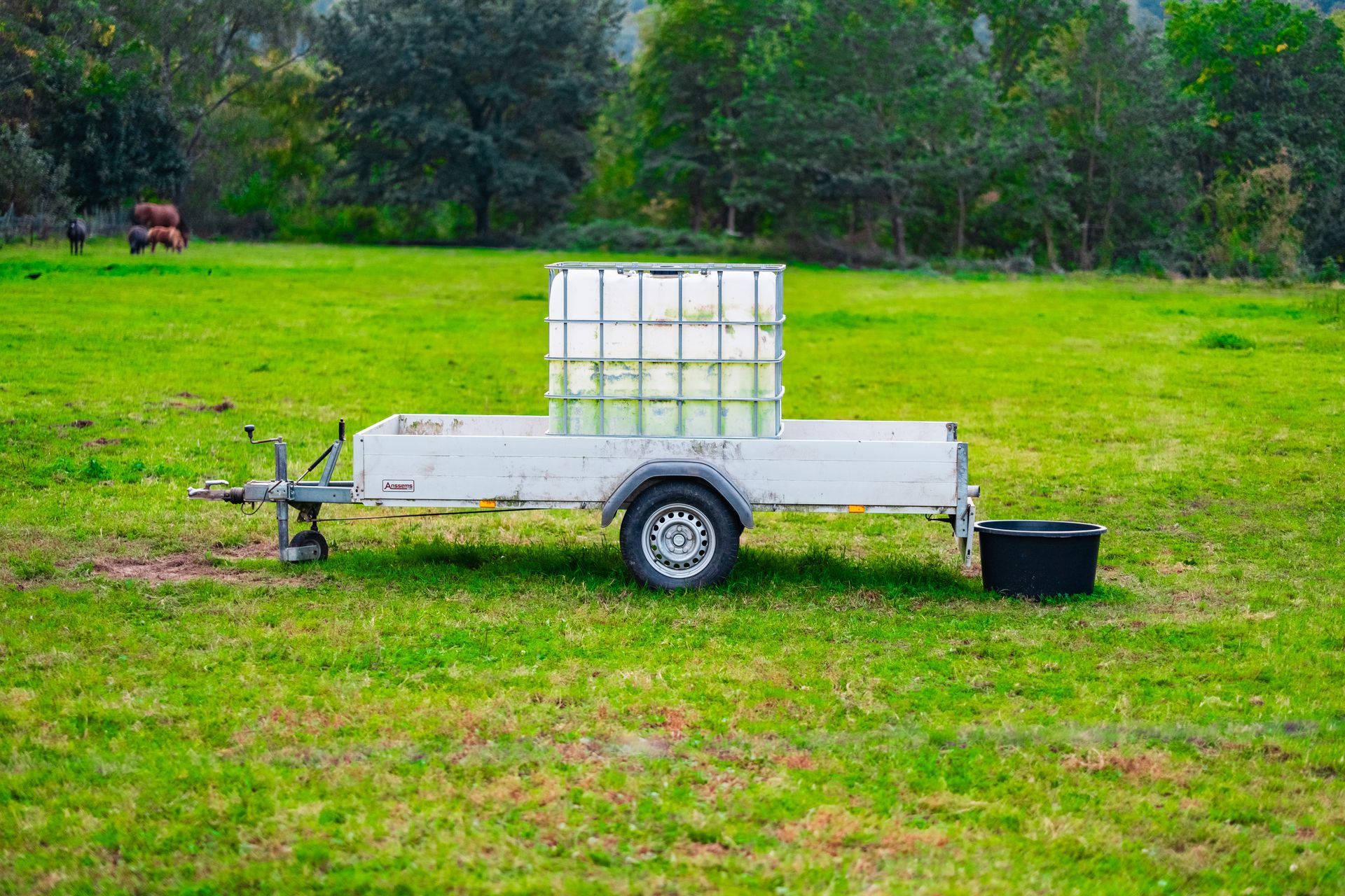 Small utility trailer with a white tank on grassy field, with a black bucket nearby, under trees.