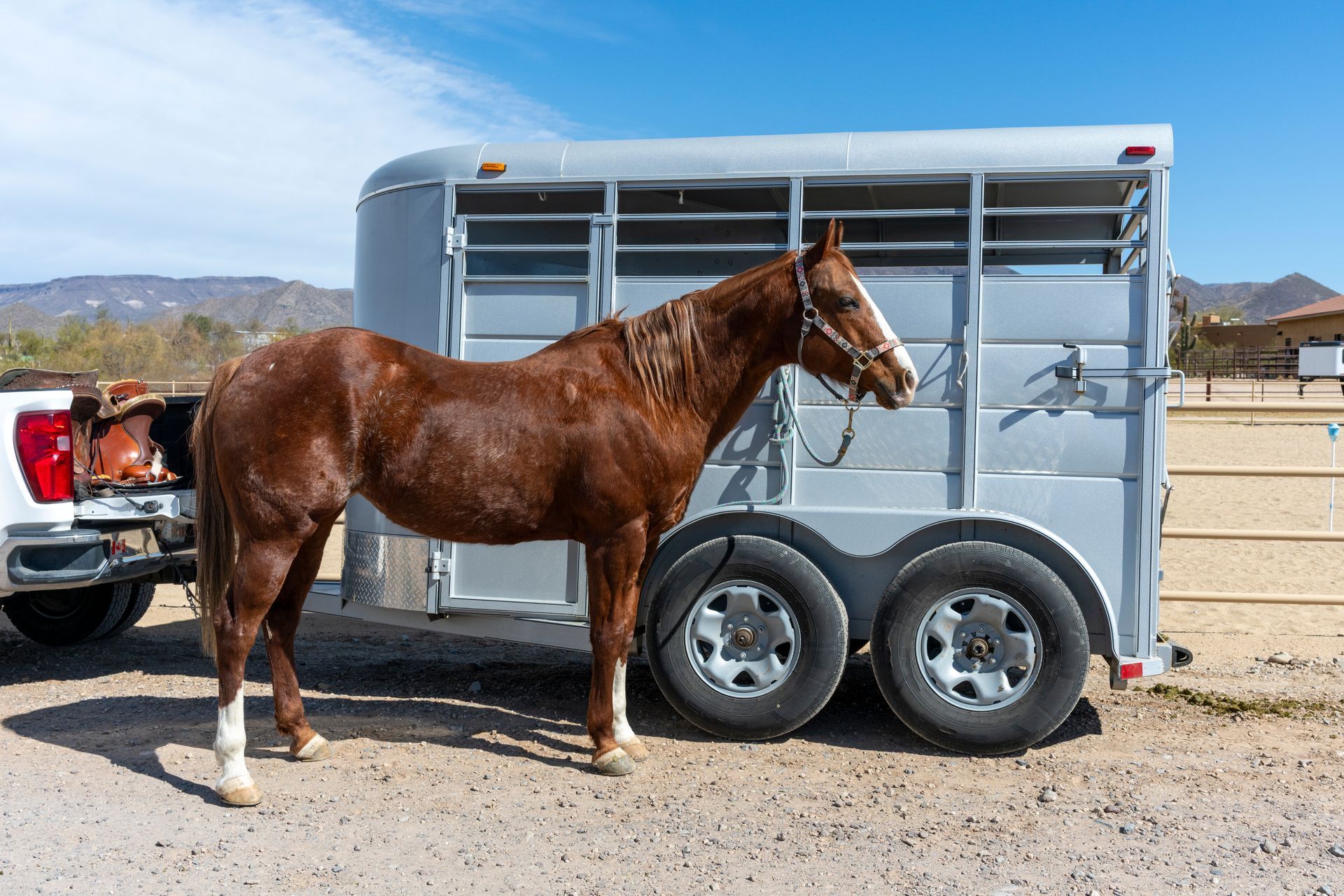 Chestnut horse standing beside a gray horse trailer in a sunny dirt lot with mountains in the background