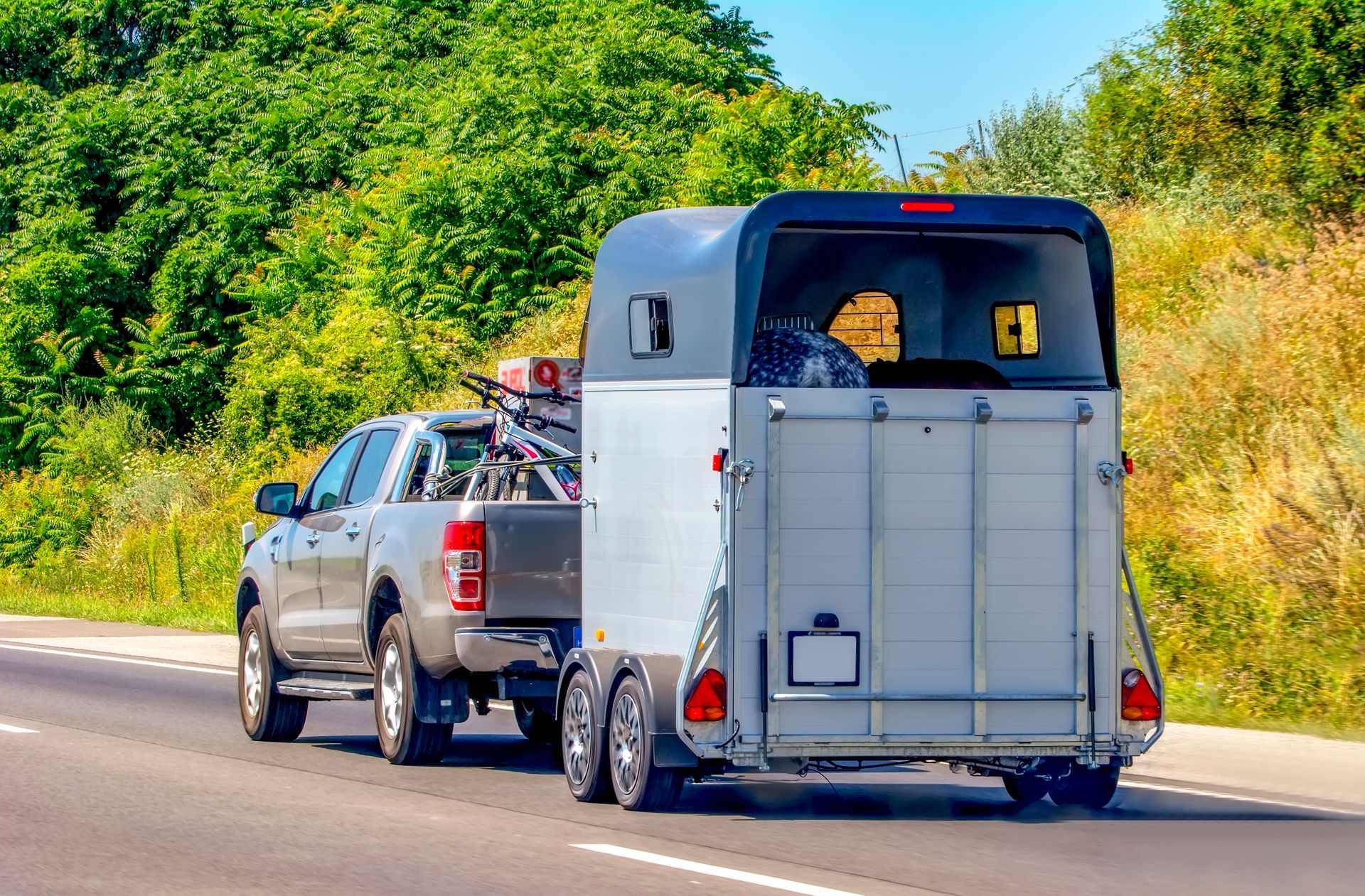 Silver truck towing a gray horse trailer on a highway beside green trees
