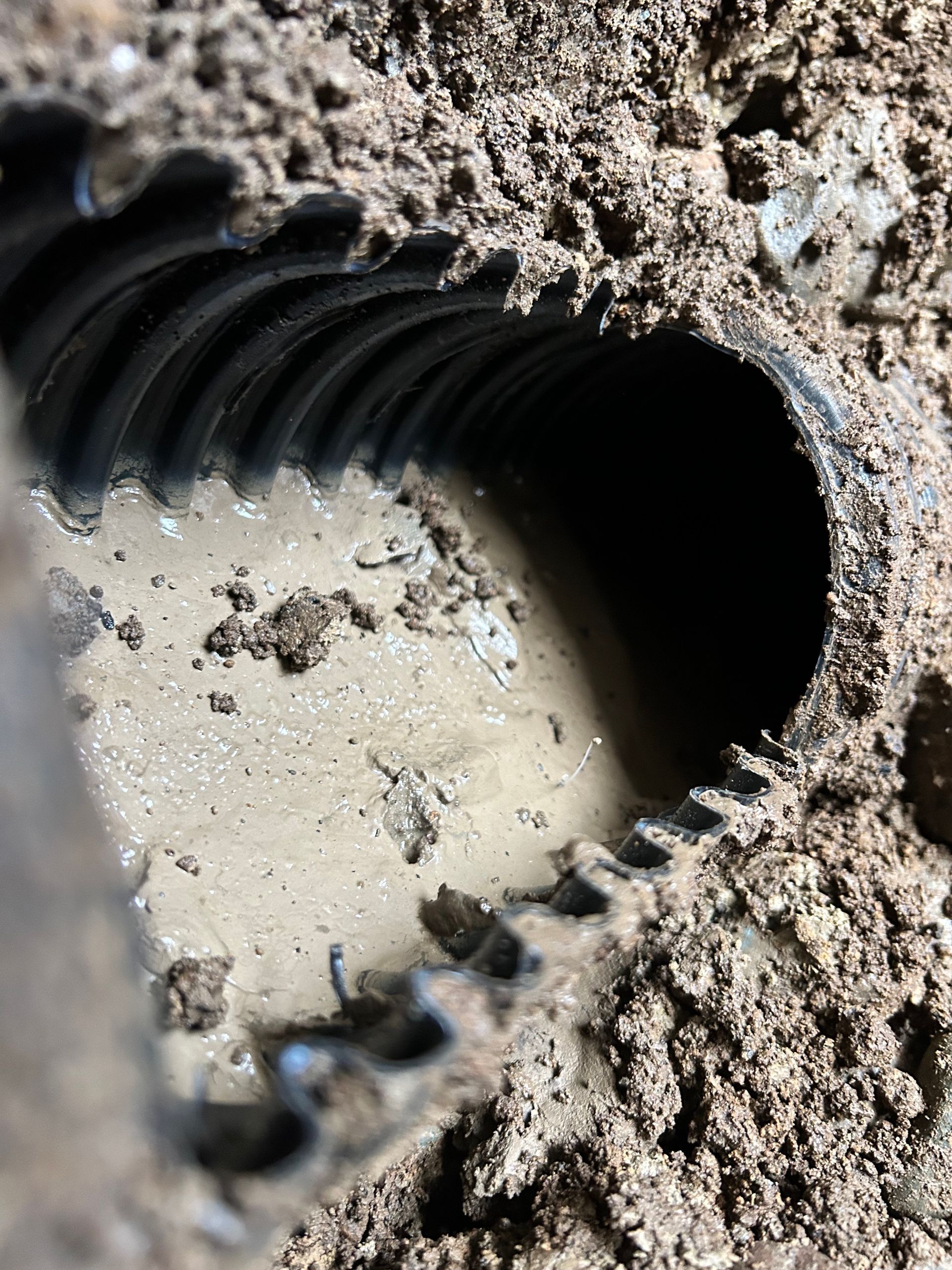 Close-up of a black corrugated pipe opening buried in muddy dirt and debris