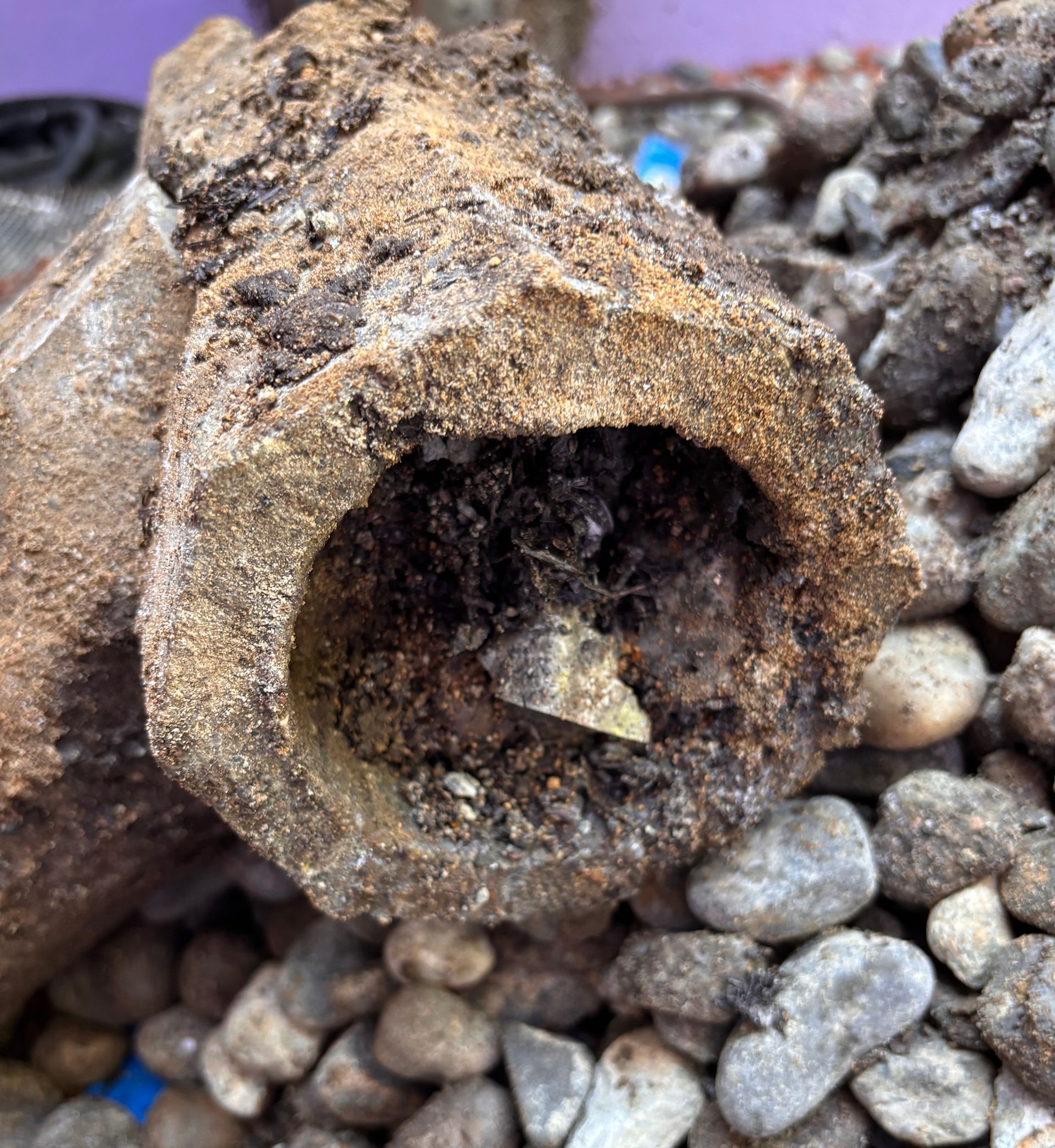 1960's rusty drain tile clay pipe excavated on gray pebbles, with dirt and debris inside.