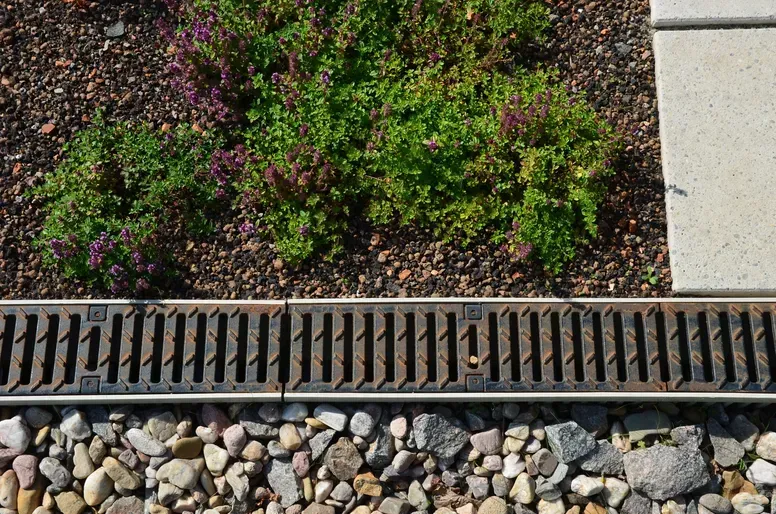Drain Installation