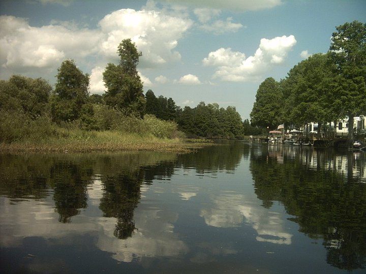 A river surrounded by trees on a sunny day