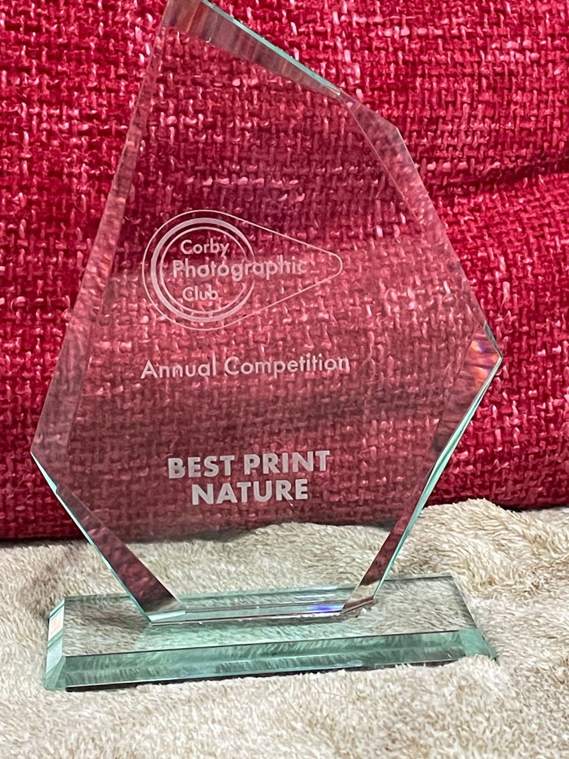 camera club awards