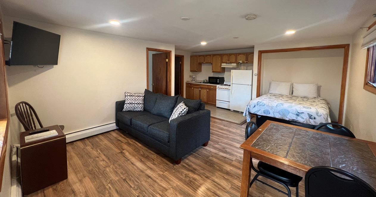 A living room with a couch , table , chairs and a bed.
