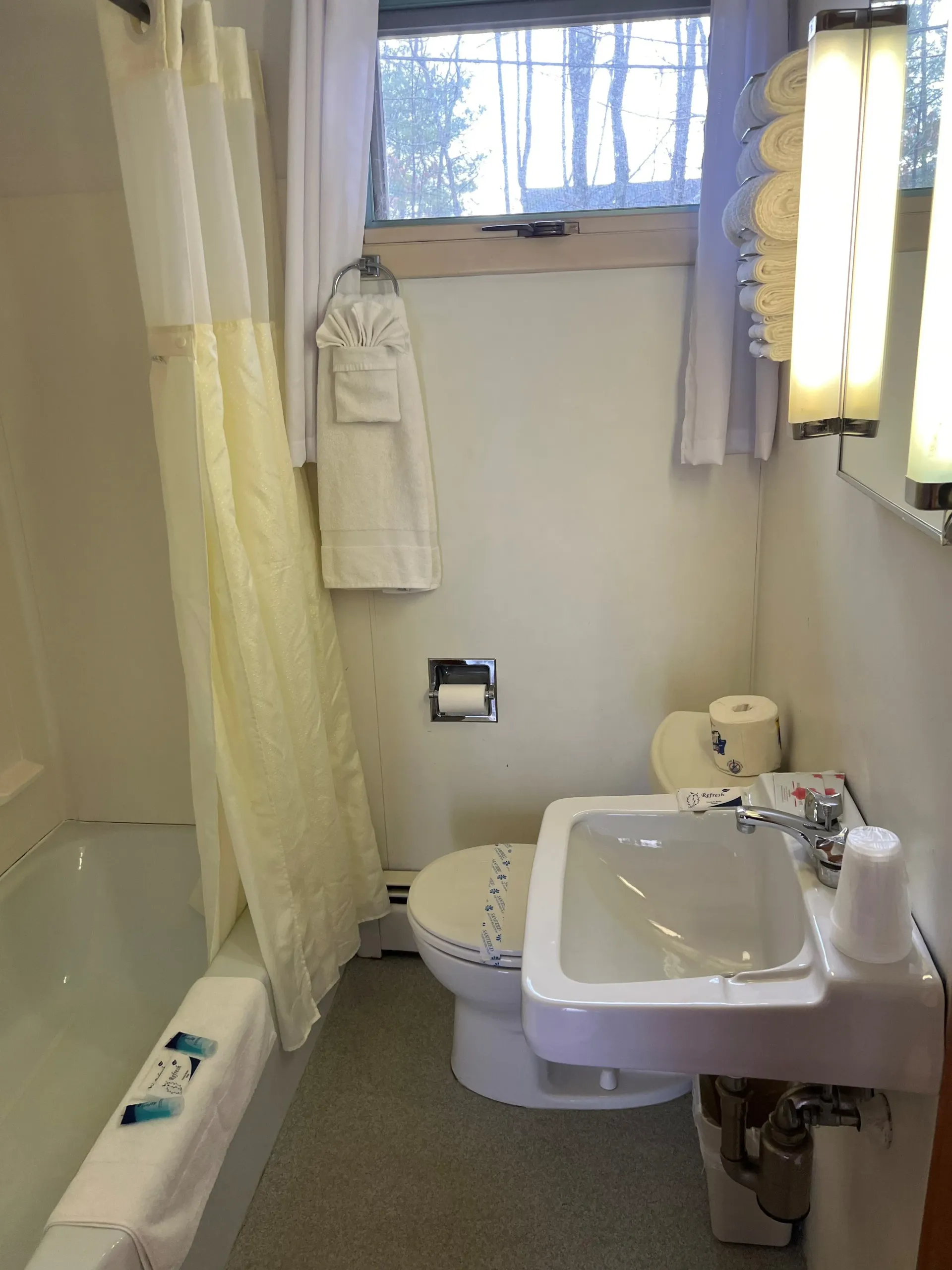 A bathroom with a toilet , sink , and shower curtain