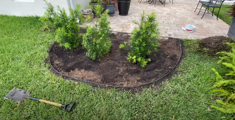 Gardener Townsville | Garden Experts | Garden Services