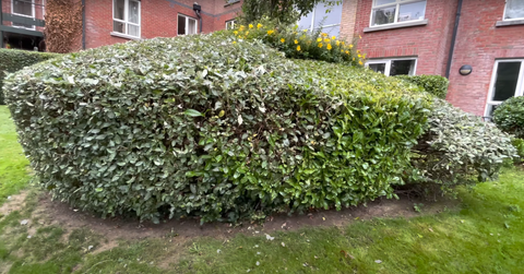 Commercial Lawn Services | Commercial Lawn Mowing | Commercial gardener | Commercial Lawn Mowing Business