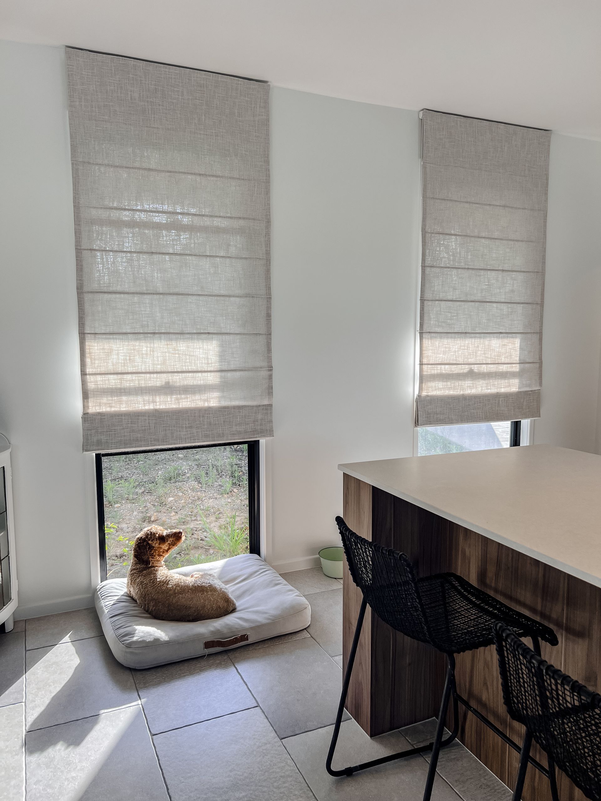 A small brown dog rests on a white bed by a sunlit window with grey Roman shades in a bright, modern kitchen.