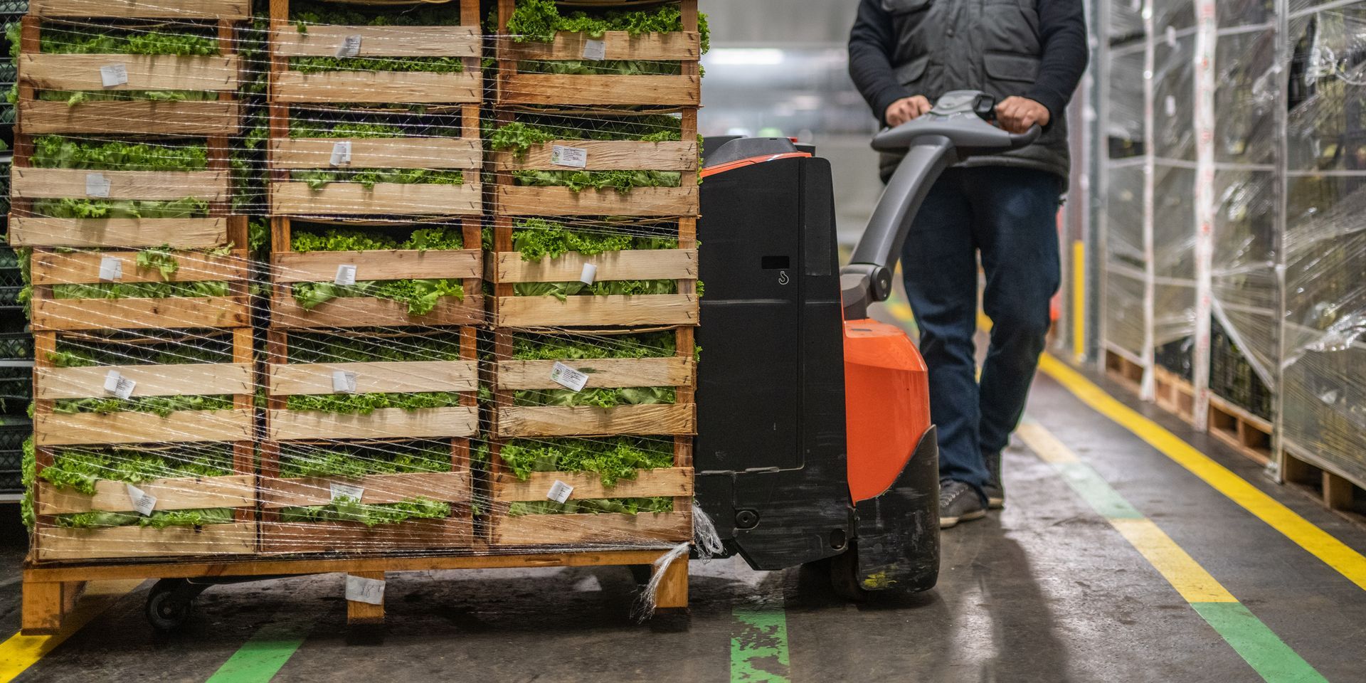 A man is pushing a forklift in a warehouse filled with wooden pallets.