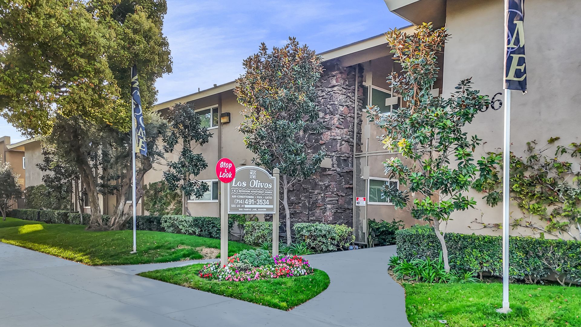 Los Olivos Photo 3