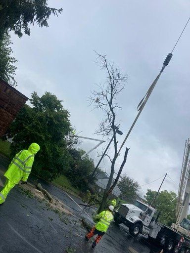 Tree Fall Down After Storm — Columbus, OH — JJs Family Tree Service, LLC