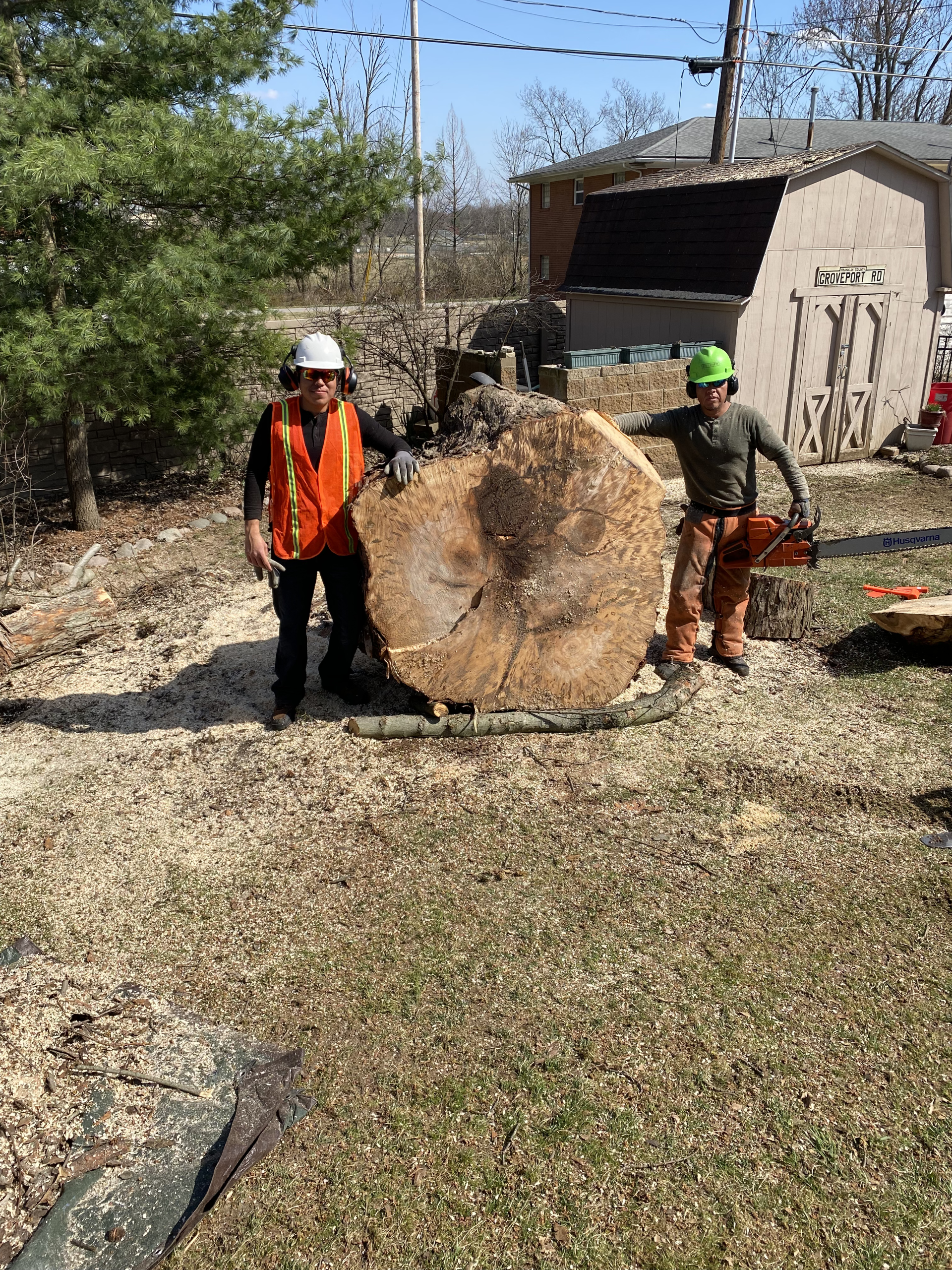 Tree Removal — Columbus, OH — JJs Family Tree Service, LLC