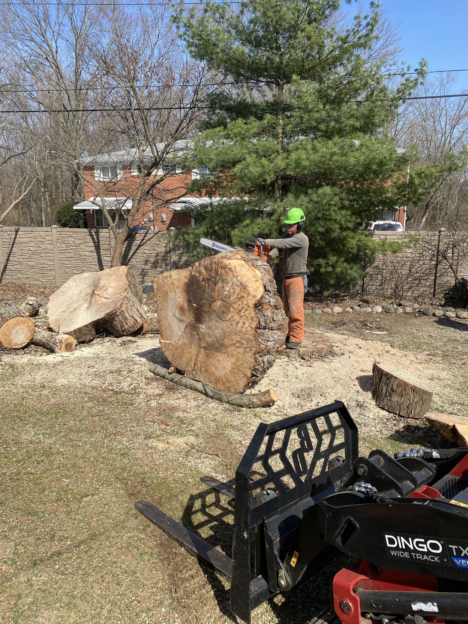 Tree Branch Removal — Columbus, OH — JJs Family Tree Service, LLC