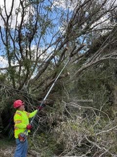Cleanup From Hurricane Milton - Columbus, OH - JJ's Family Tree Service