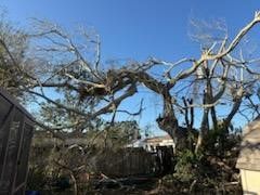 Cleanup From Hurricane Milton - Columbus, OH - JJ's Family Tree Service