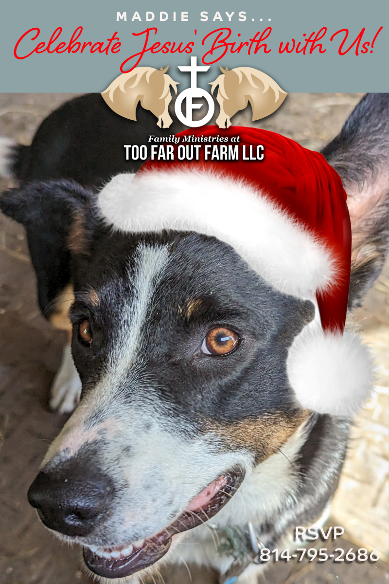 CLICK TO RSVP A black and white dog wearing a santa hat
