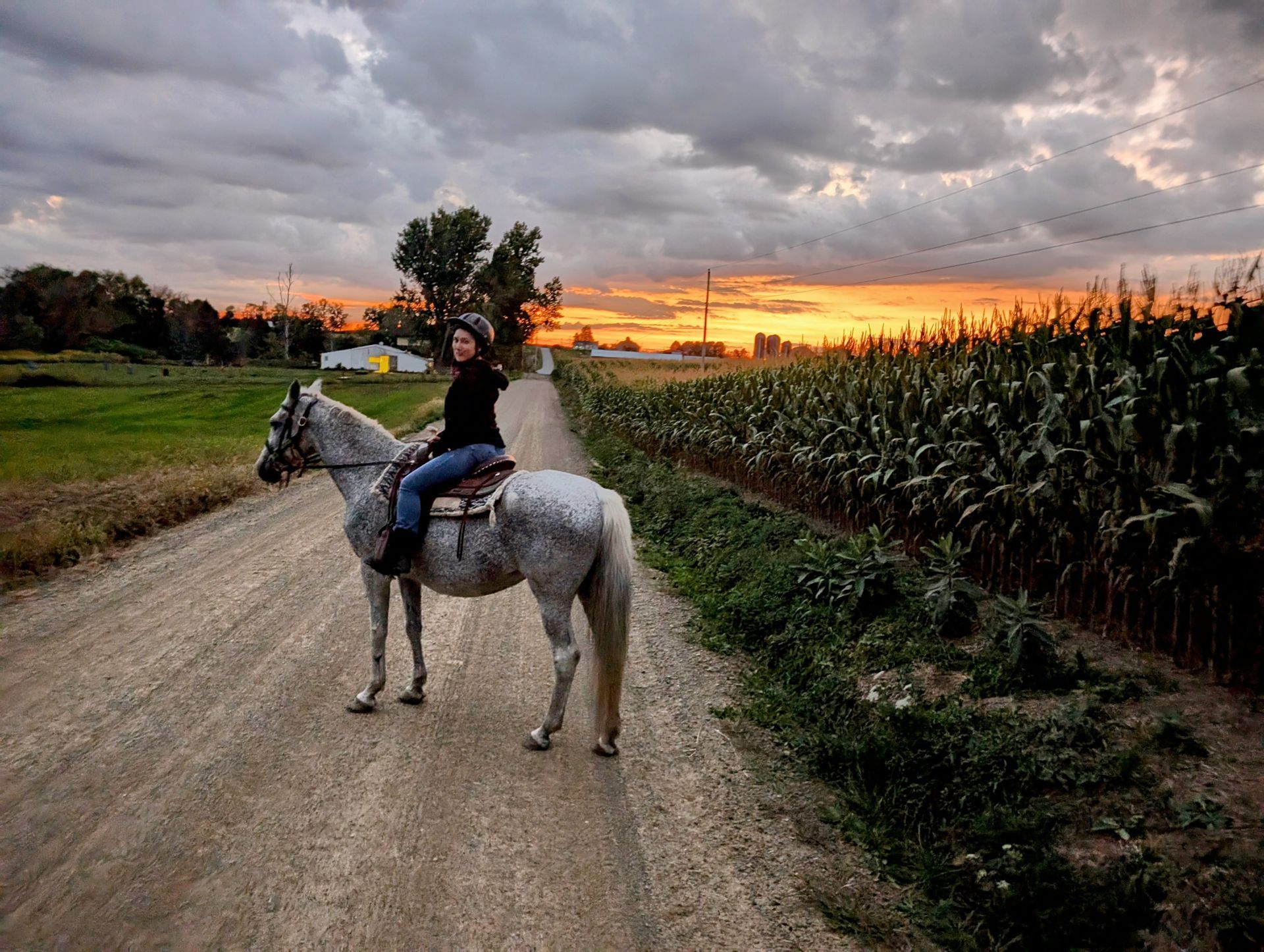 CLICK for more of Glitter's story Person riding a white horse on a dirt road beside cornfields at sunset