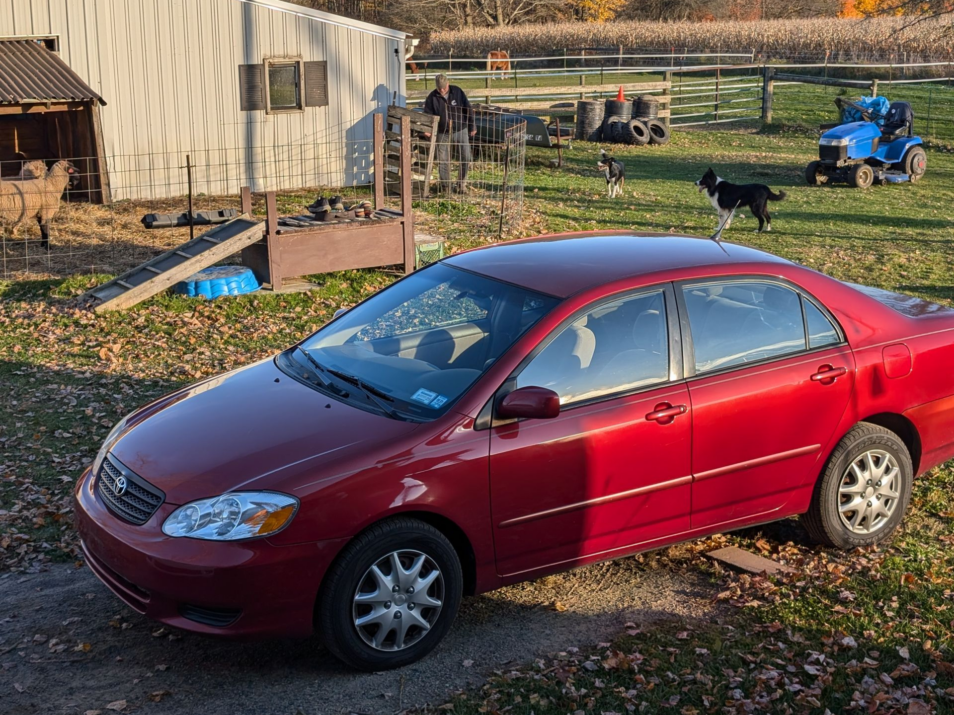 Red Toyota Corolla parked in a grassy yard, with a barn, animals, and tractor in the background.