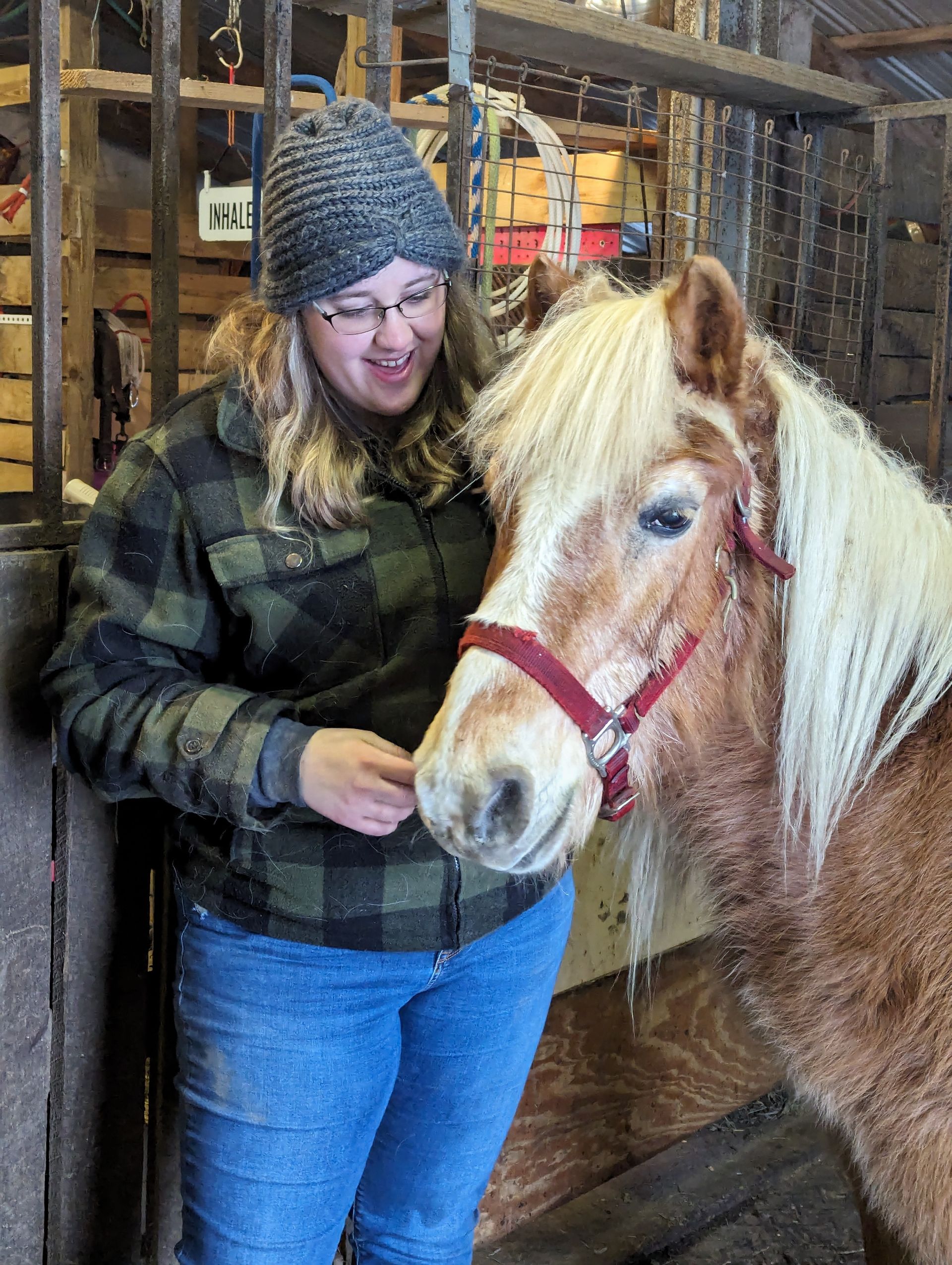 Person petting a light brown horse with a red halter in a barn, wearing a knit hat and plaid jacket.
