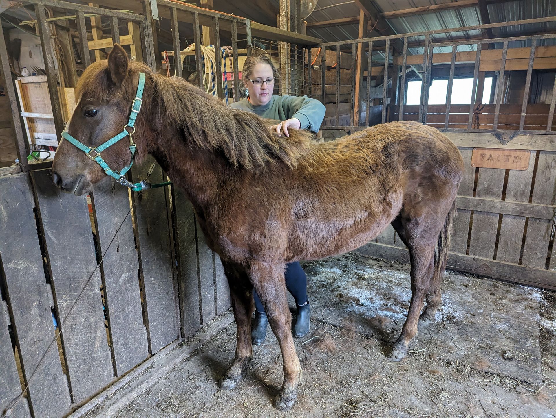 CONNECT AND ENGAGE WITH HORSES! a family is posing for a picture while sitting in a wheelbarrow .