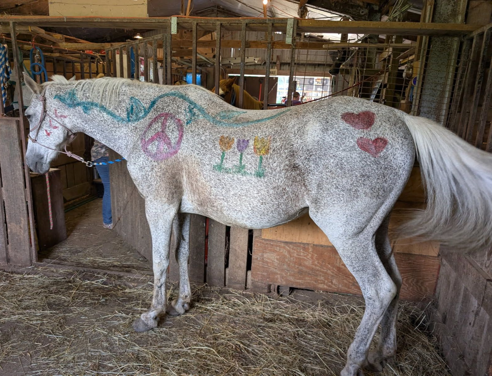 A white dappled horse standing in a stable, decorated with colorful painted designs including a peace sign and flowers.