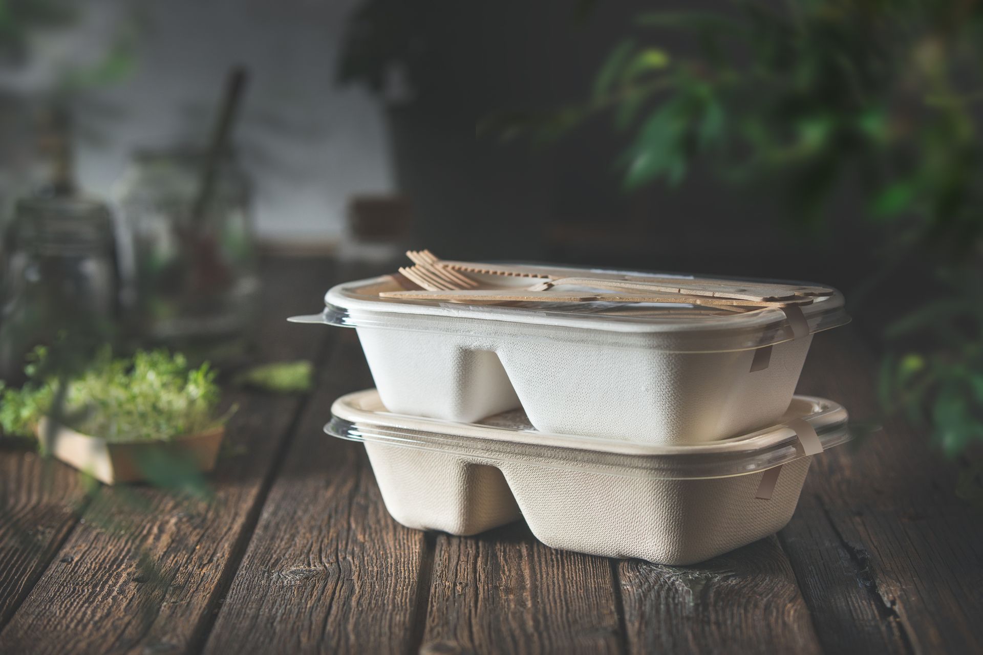 Delivered food in eco-friendly paper packaging boxes.