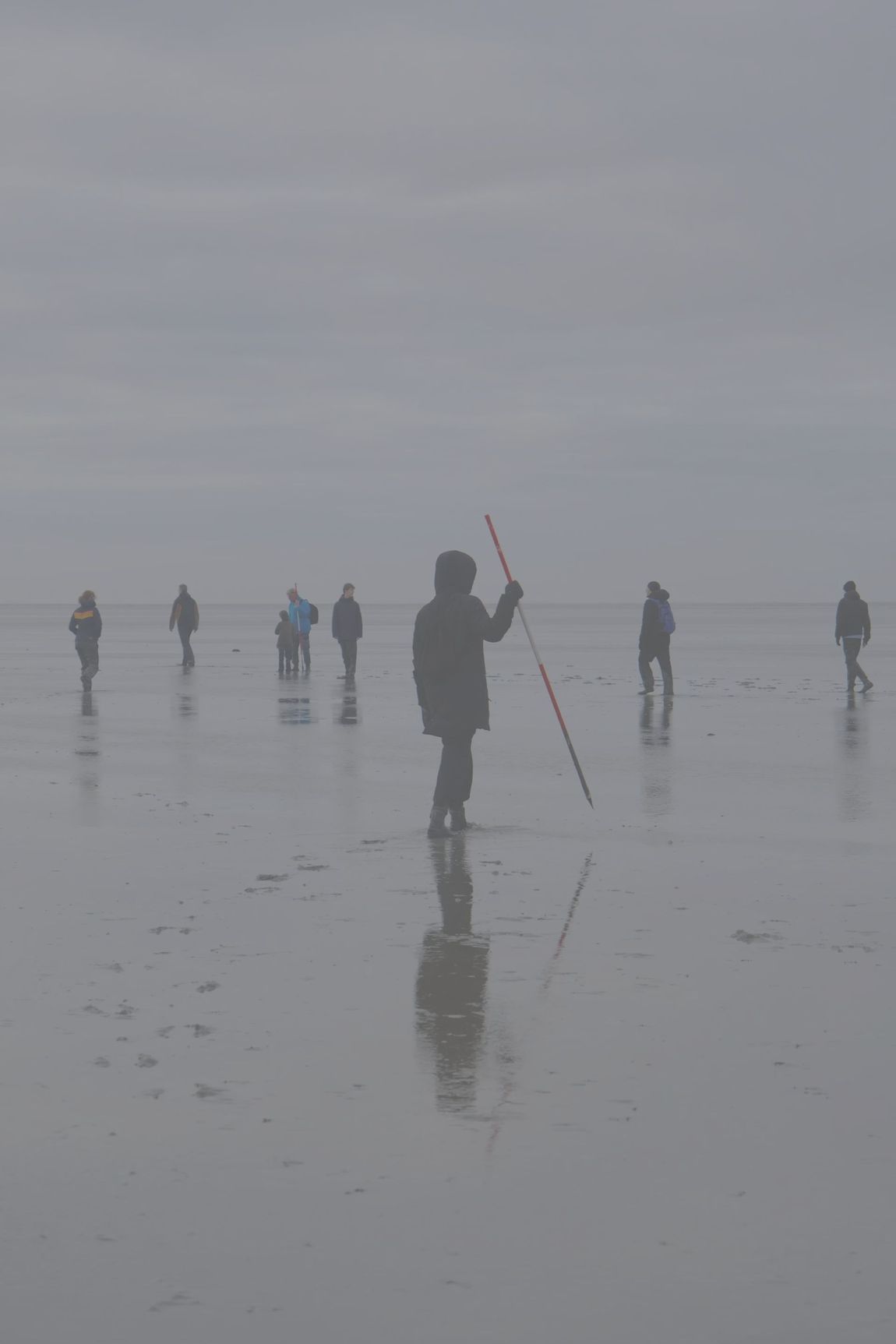 Wadlopen. Schiermonnikoog. Teambuilding. Samenwerken in een team. Excursies.