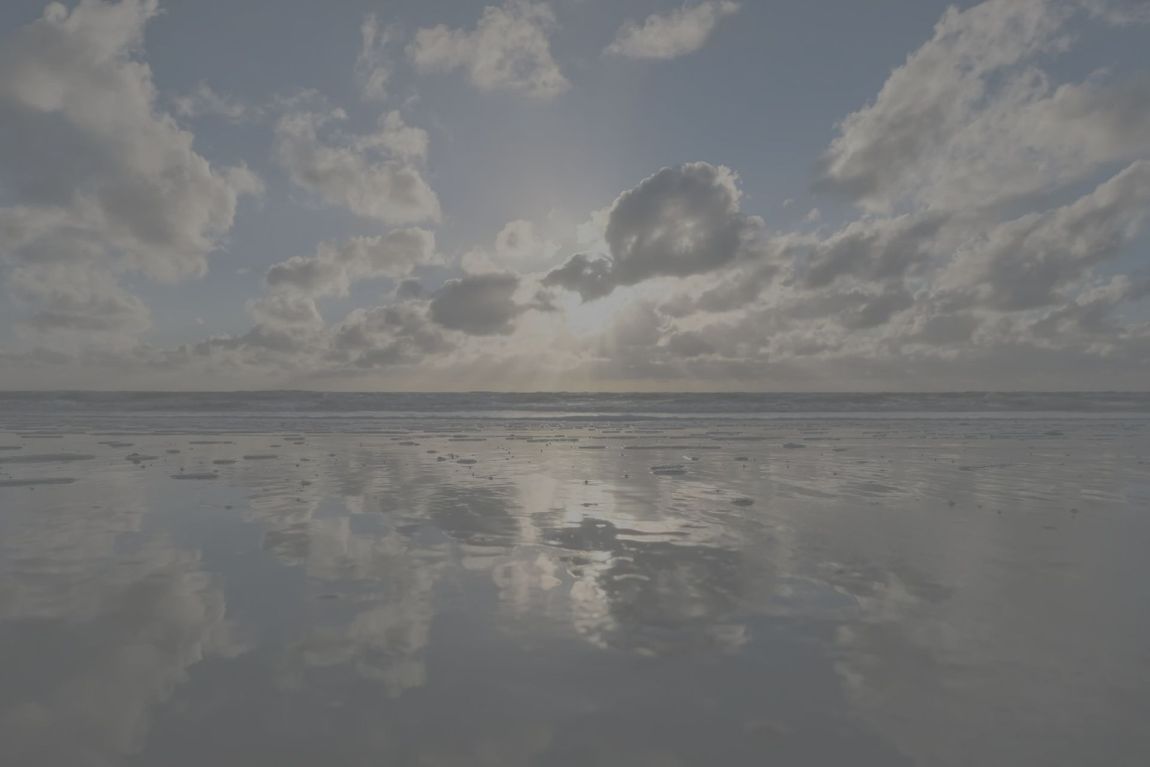 Wadlopen. Schiermonnikoog. Teambuilding. Samenwerken in een team. Excursies.