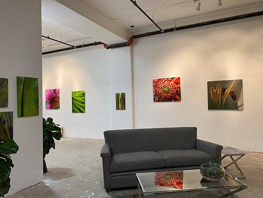 Acrylic Photo Prints
