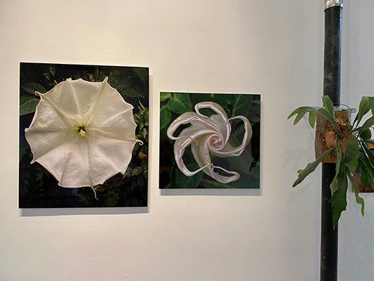 Acrylic Photo Prints