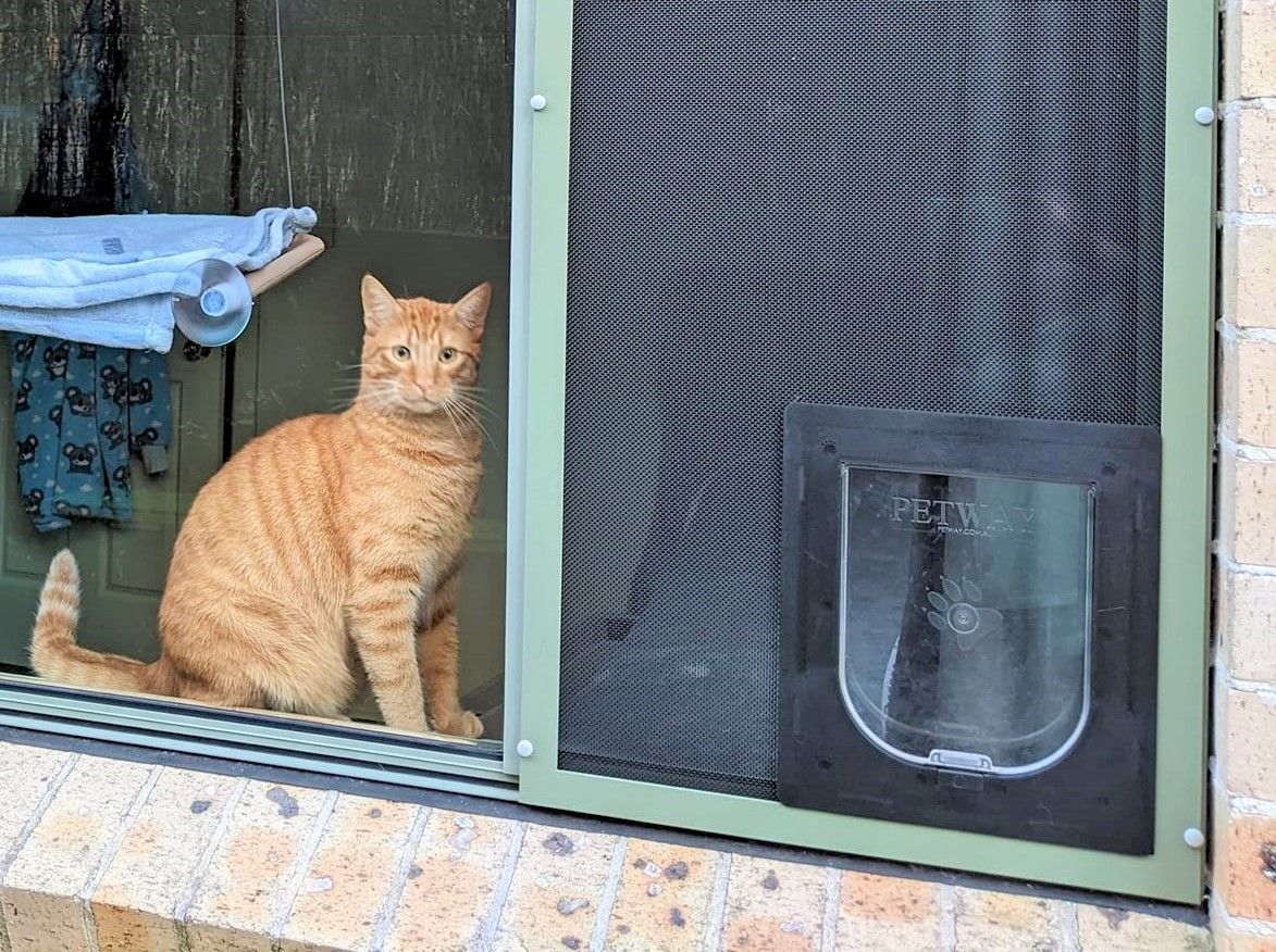 Pet Doors