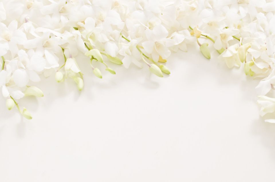 Fiori bianchi