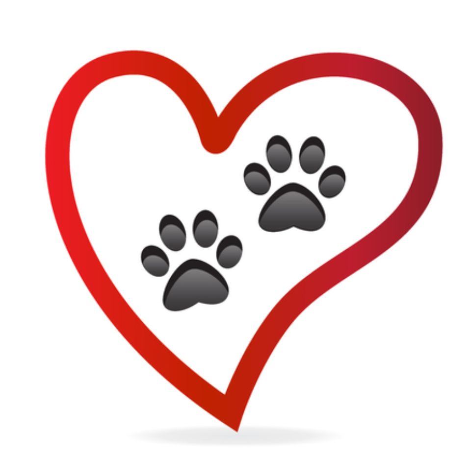 Impronta zampa di cane